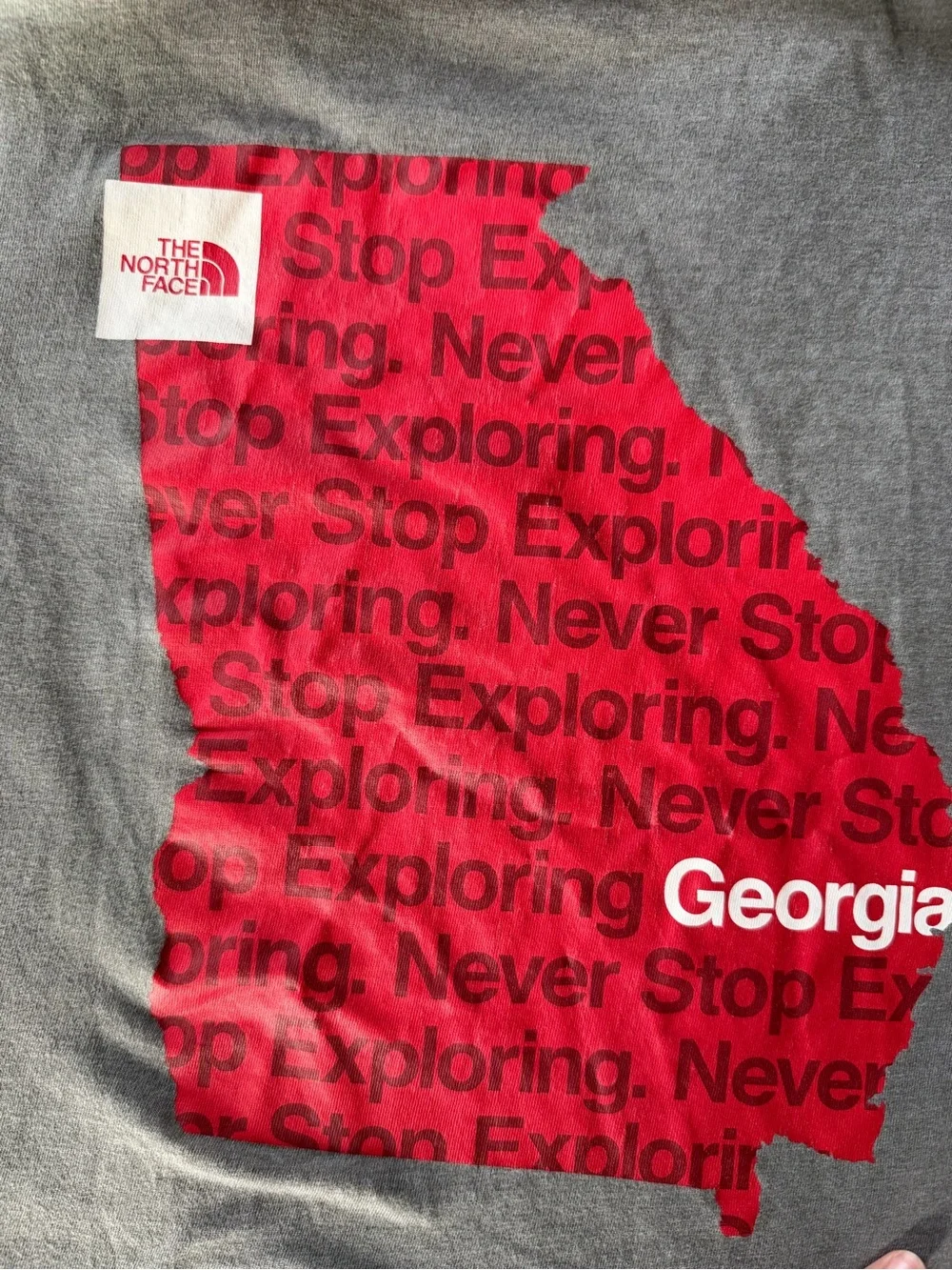 The North Face Gray Tee with Red Georgia Print - Picture 3 of 4